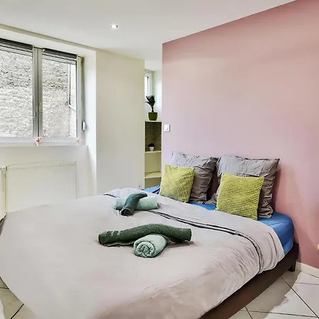 Appartement Avec Cour Privative A Saint-etienne *