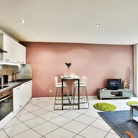 Apartment Avec Cour Privative A Saint-etienne *
