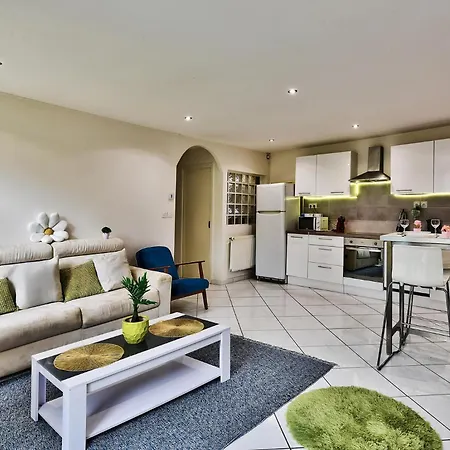 Avec Cour Privative à Saint-étienne Apartamento *